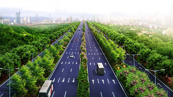 200名建设者 昼夜奋战长康路