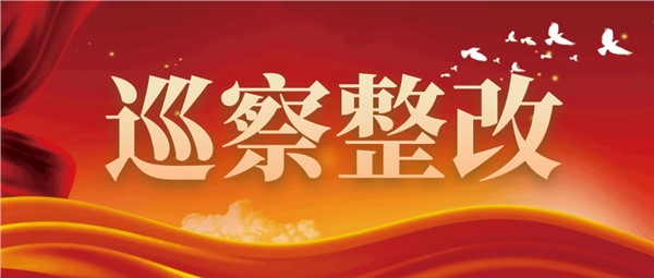 【巡察整改】中共岳阳市城市运营投资集团有限公司委员会关于八届市委第二轮巡察整改进展情况的通报