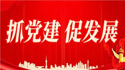 支部优化强根基 党建焕发新活力