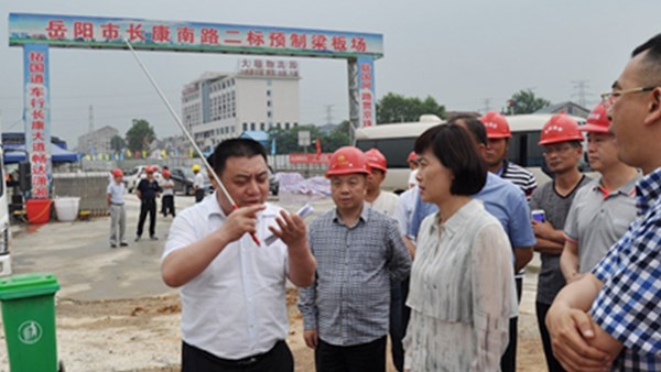 市委副书记、市长李爱武调研公司长康南路建设