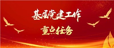 2023年基层党建工作重点任务